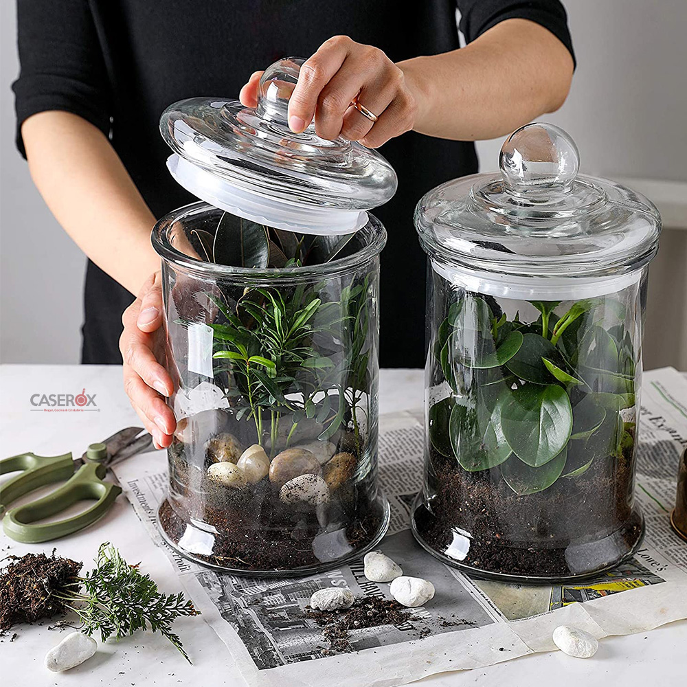 Contenedor/Hermético con tapa de Vidrio 2.5L – CASEROX - Imagen 3